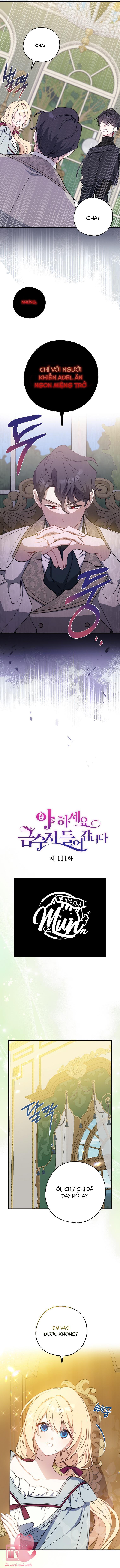 A Nào, Ngậm Thìa Vàng Nhé? - Chap 111