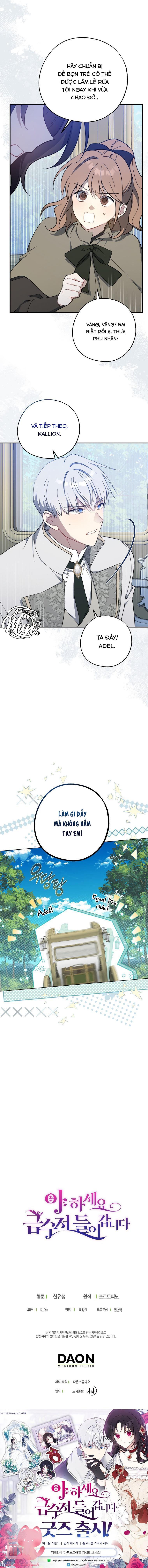 A Nào, Ngậm Thìa Vàng Nhé? - Chap 115