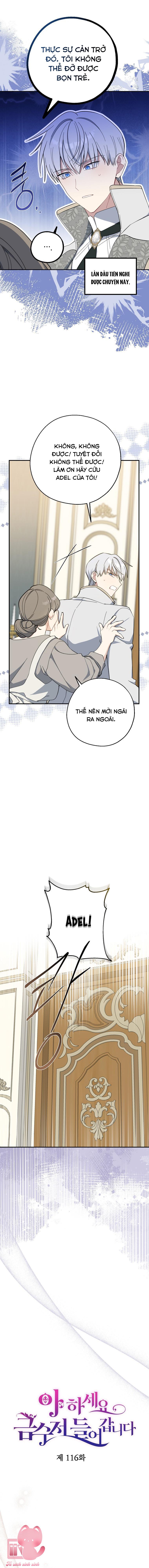 A Nào, Ngậm Thìa Vàng Nhé? - Chap 116