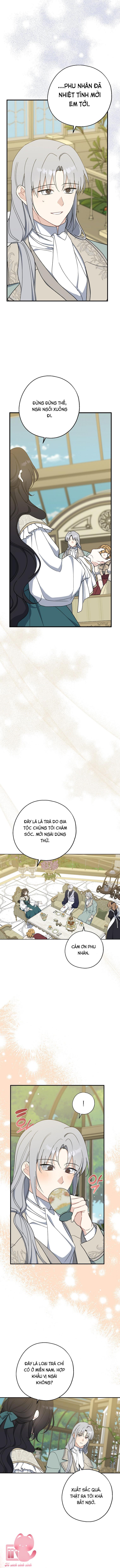 A Nào, Ngậm Thìa Vàng Nhé? - Chap 95