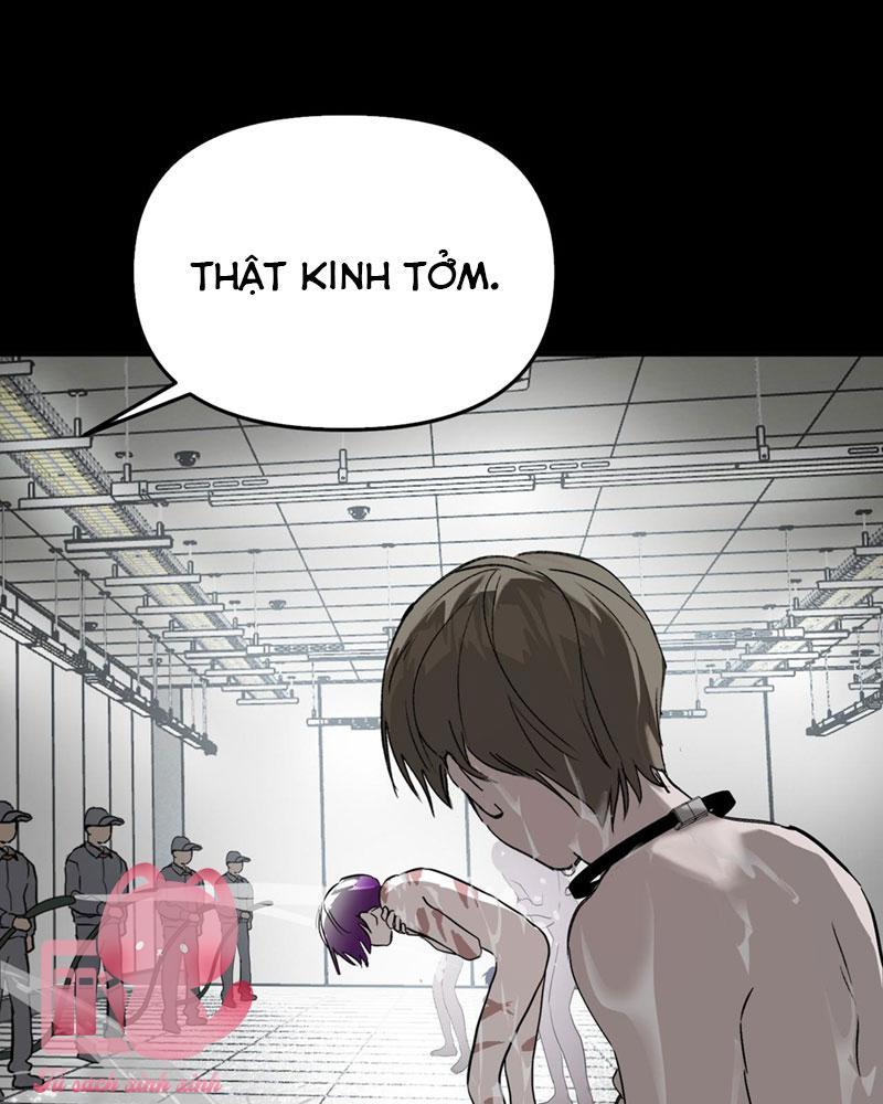 Ác Chi Hoàn - Chap 17