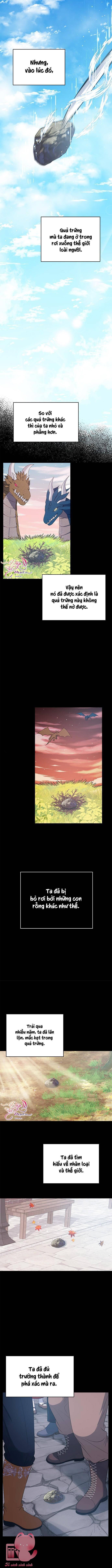 Ác Long Sống Làm Gì Cơ Chứ? - Chap 12