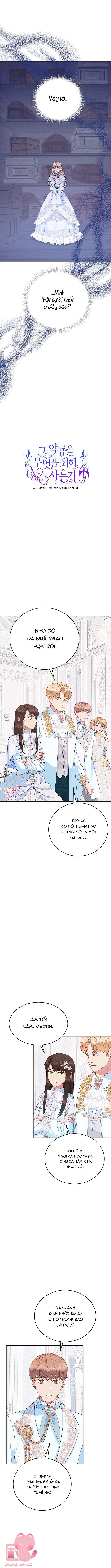 Ác Long Sống Làm Gì Cơ Chứ? - Chap 27