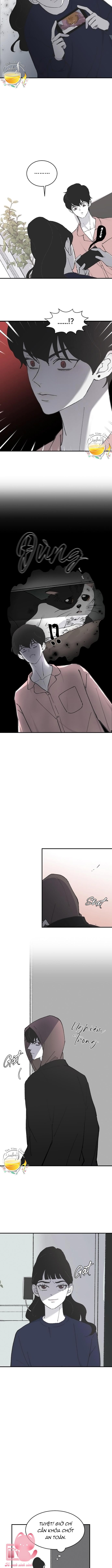 Ba Anh Trai Cực Phẩm Của Tôi - Chap 11