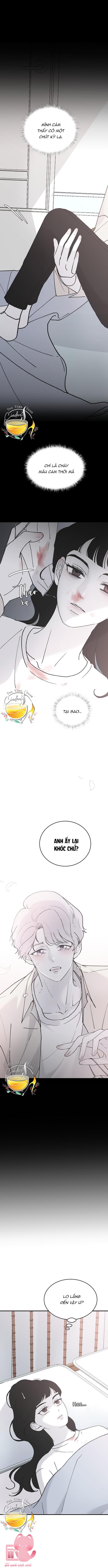Ba Anh Trai Cực Phẩm Của Tôi - Chap 29