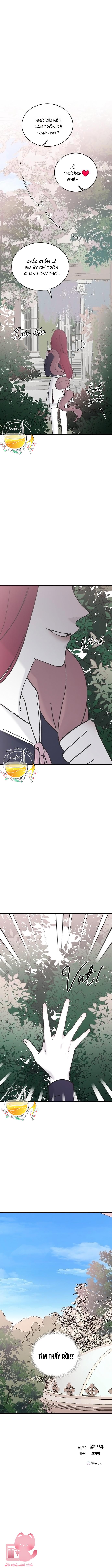 Ba Anh Trai Cực Phẩm Của Tôi - Chap 36