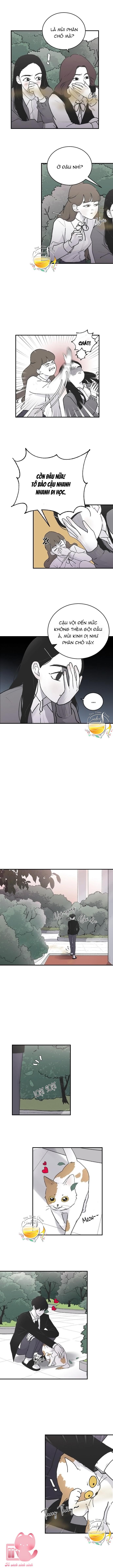 Ba Anh Trai Cực Phẩm Của Tôi - Chap 4