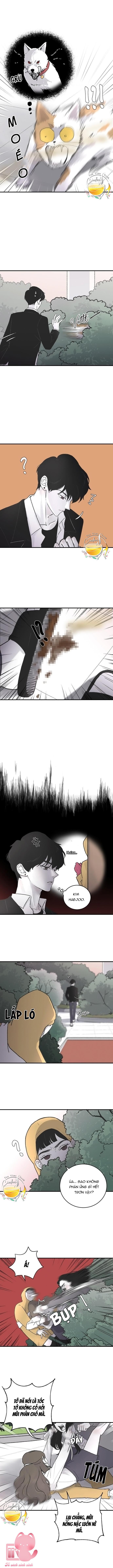 Ba Anh Trai Cực Phẩm Của Tôi - Chap 4