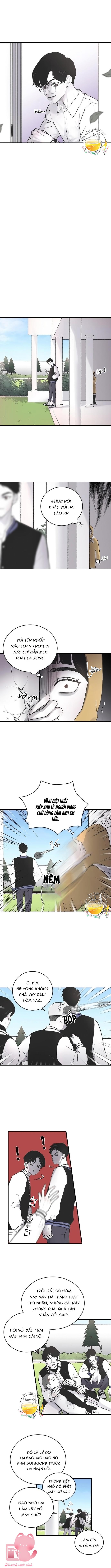 Ba Anh Trai Cực Phẩm Của Tôi - Chap 4