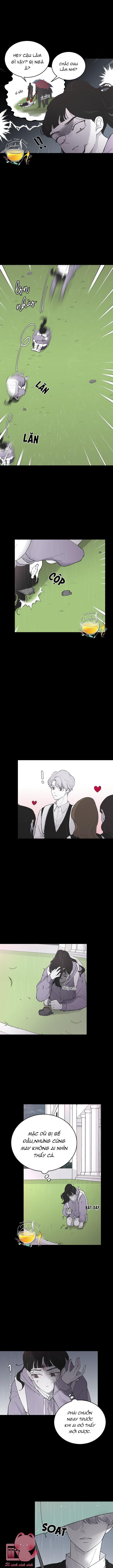 Ba Anh Trai Cực Phẩm Của Tôi - Chap 6