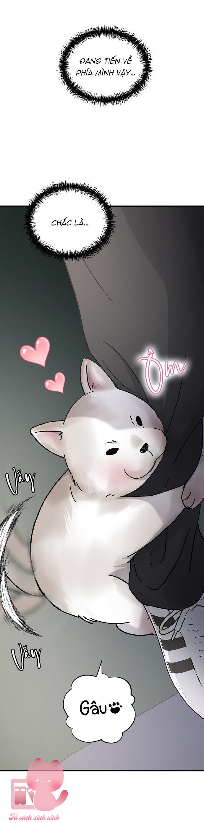 Ba Anh Trai Cực Phẩm Của Tôi - Chap 98