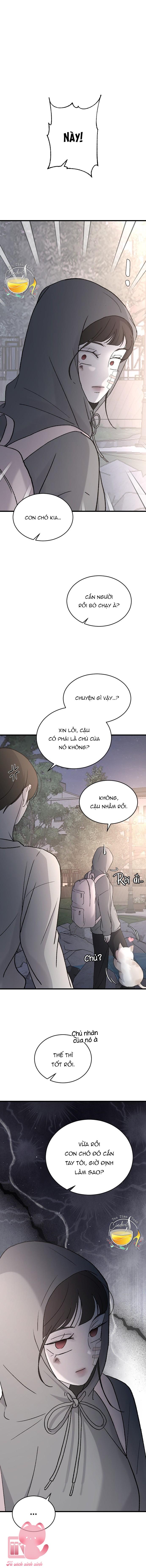Ba Anh Trai Cực Phẩm Của Tôi - Chap 99