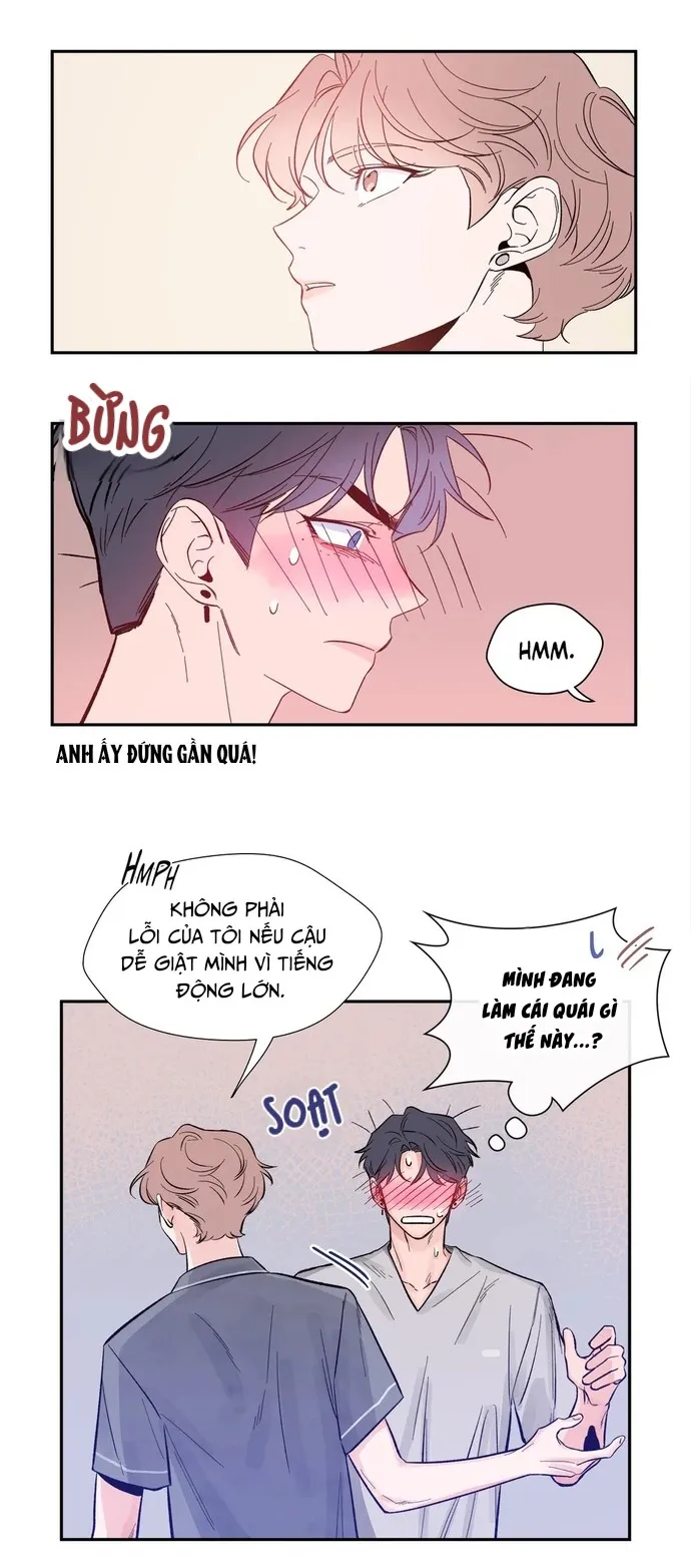 Bản Phác Hoạ - Chap 8
