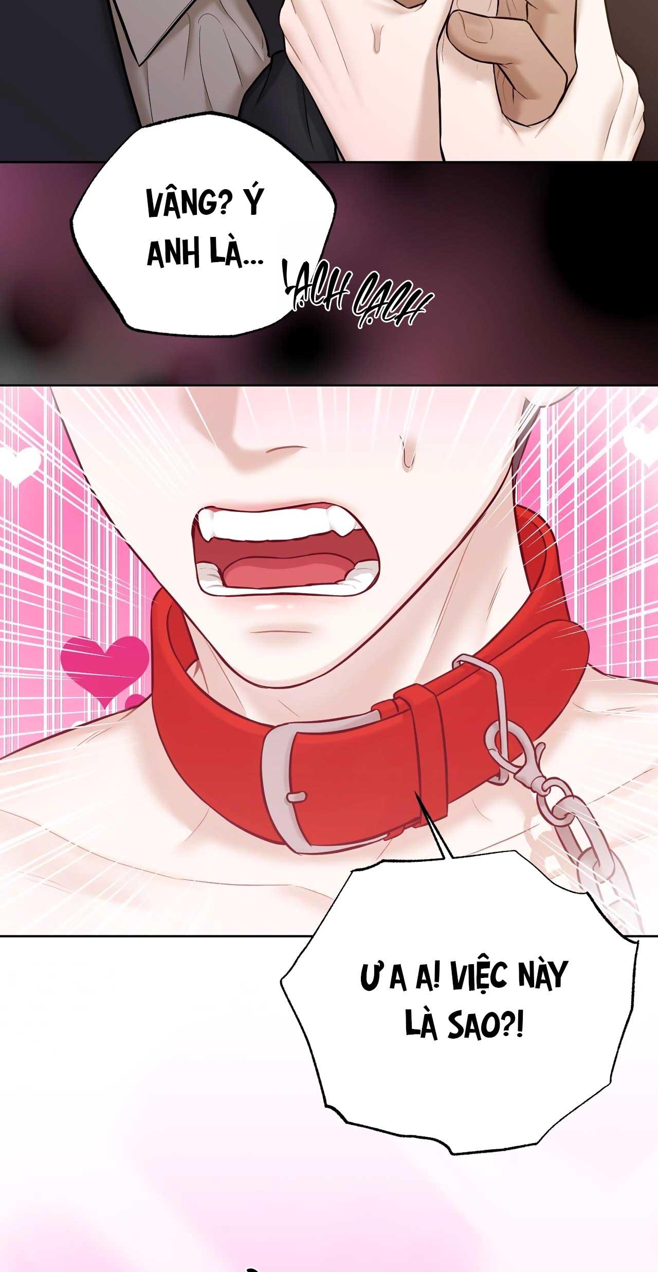 BẮT KỊP - Chap 28