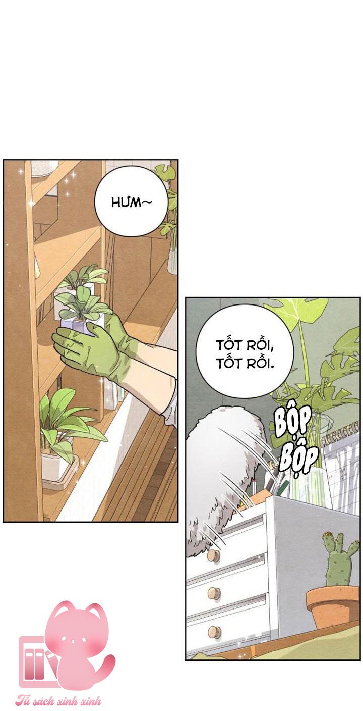 Bí Mật Thanh Xuân - Chap 1