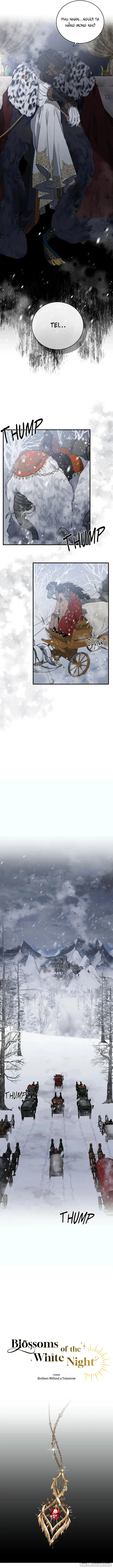 Blossoms Of The White Night - Chap 1