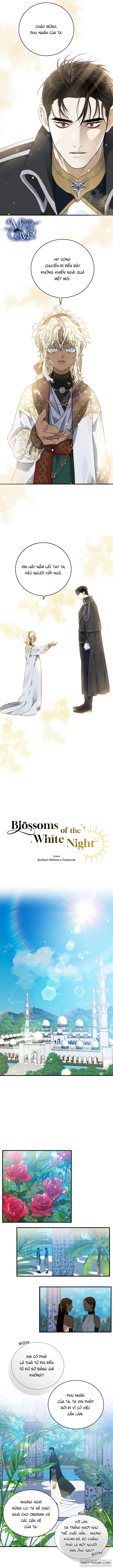 Blossoms Of The White Night - Chap 2