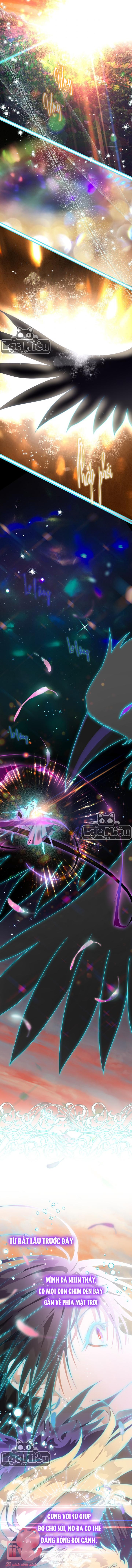 Bỗng Nhiên Tôi Trở Thành Quạ Đen!! - Chap 11