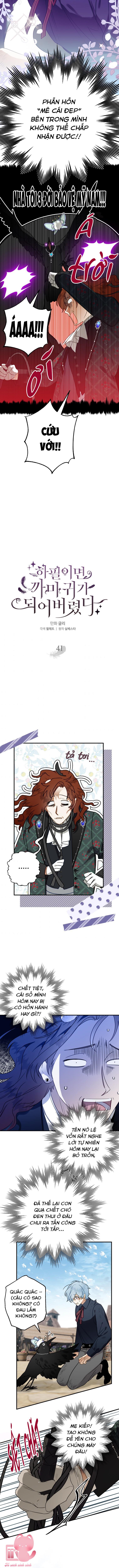 Bỗng Nhiên Tôi Trở Thành Quạ Đen!! - Chap 41