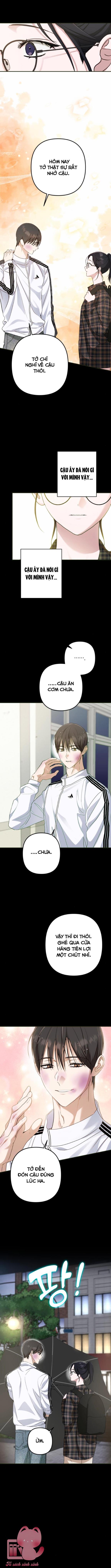 Bóng Râm Mùa Xuân - Chap 8