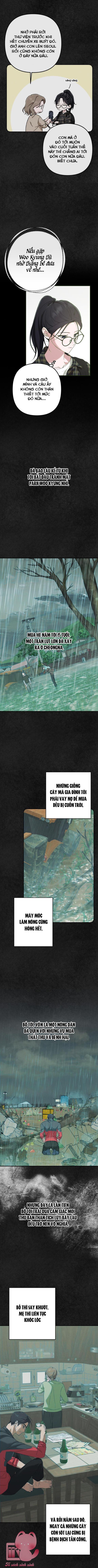 Bóng Râm Mùa Xuân - Chap 8