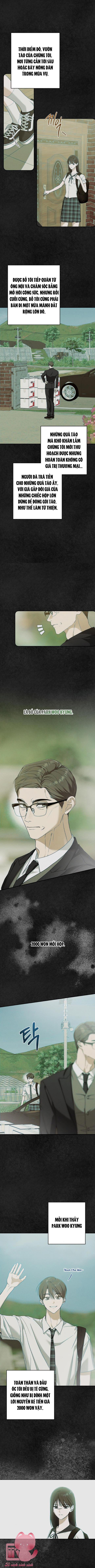 Bóng Râm Mùa Xuân - Chap 8