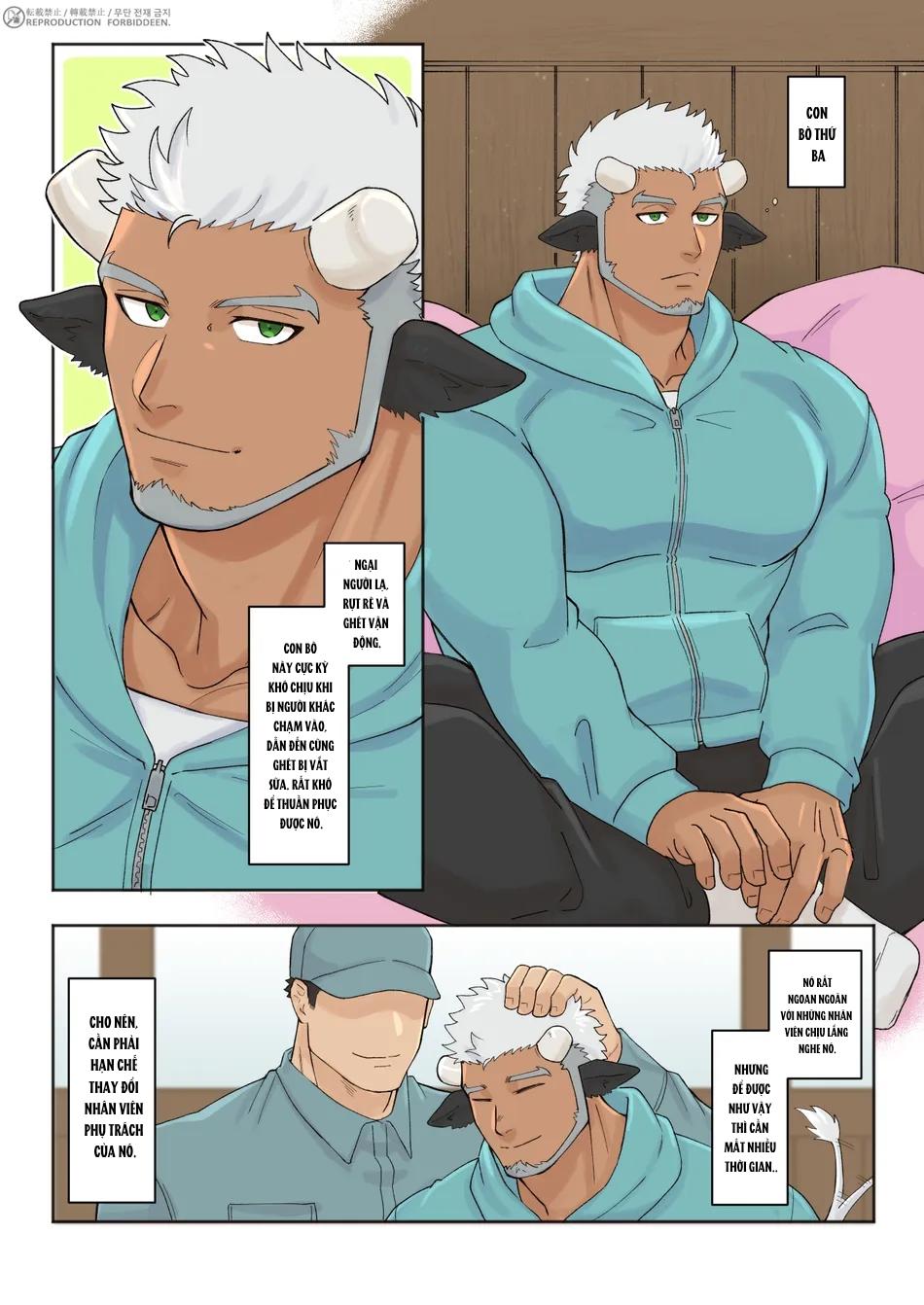 BOYLOVE FULL MÀU - Chap 8