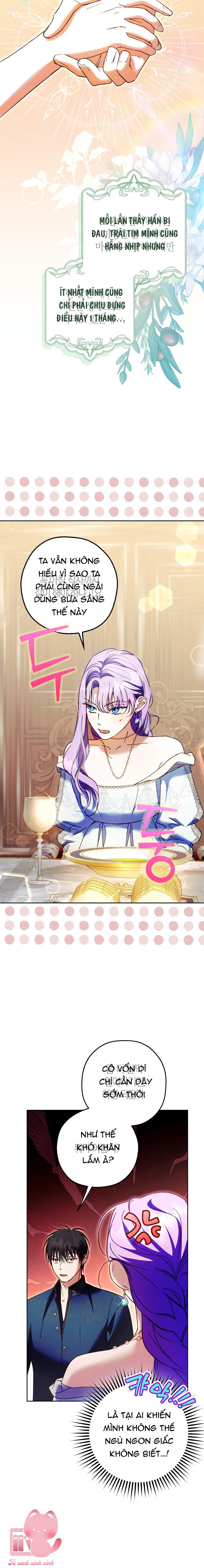 Các Nam Chính Đã Bị Nữ Phụ Cướp Mất - Chap 21