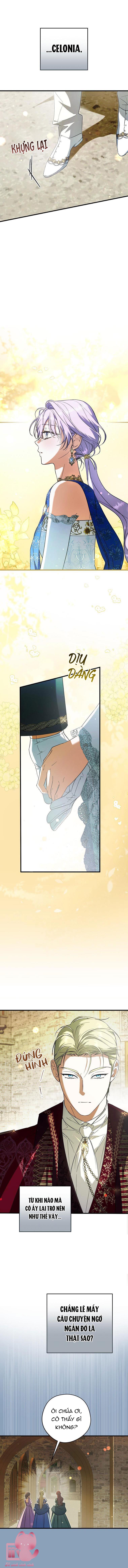 Các Nam Chính Đã Bị Nữ Phụ Cướp Mất - Chap 31