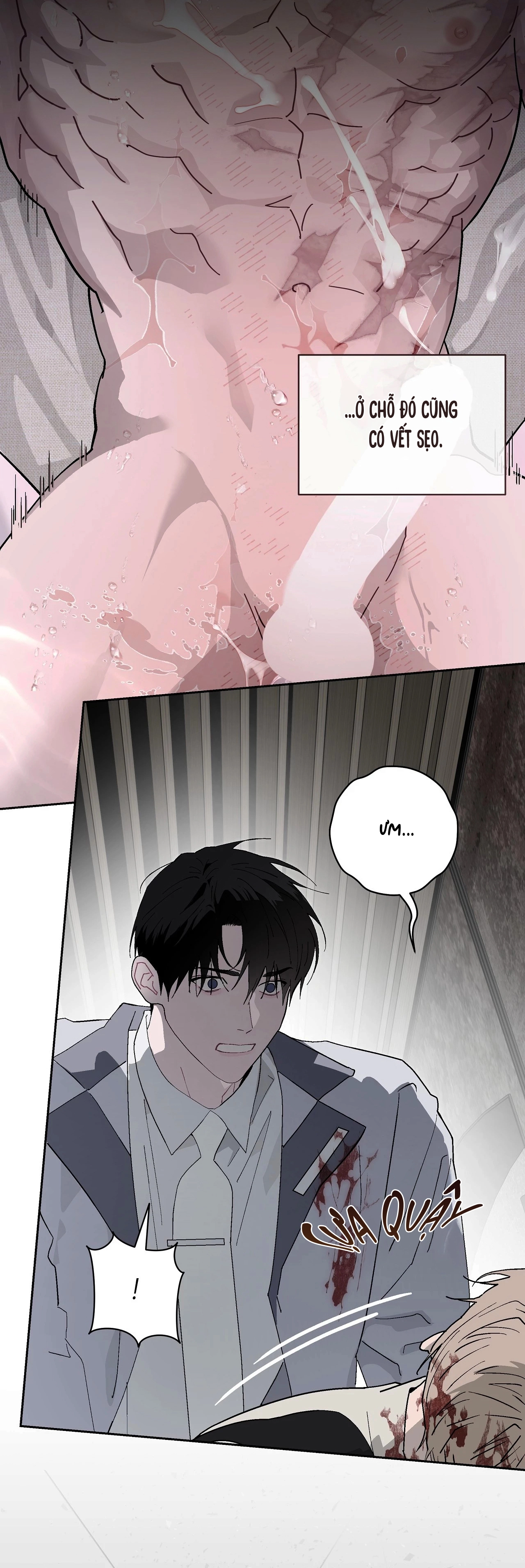 Cẩm Nang Tiên Tri Hoàn Hảo Chap 5 - Next Chap 6