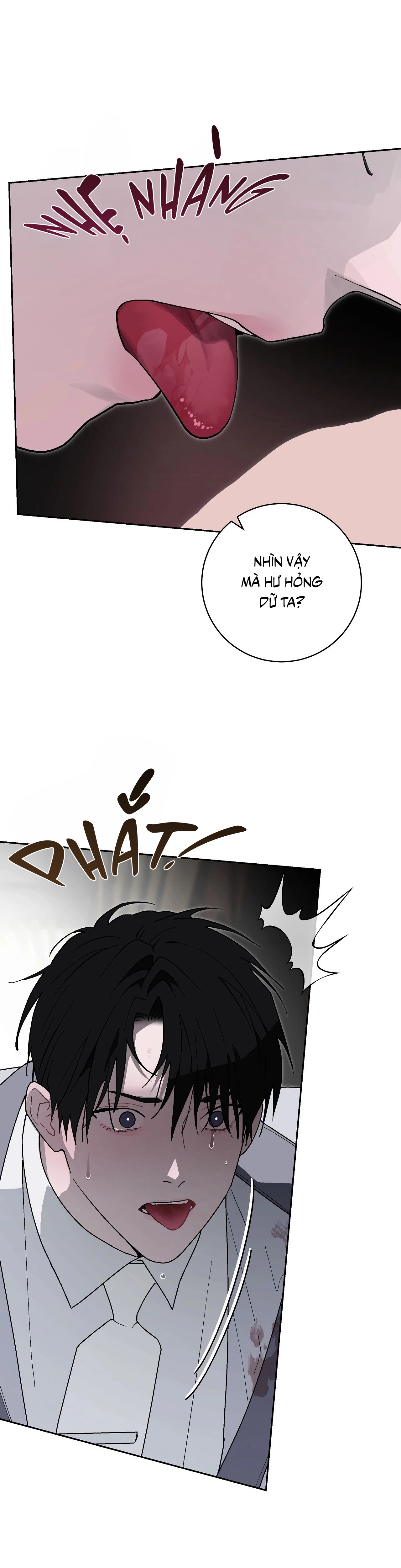 Cẩm Nang Tiên Tri Hoàn Hảo Chap 5 - Next Chap 6