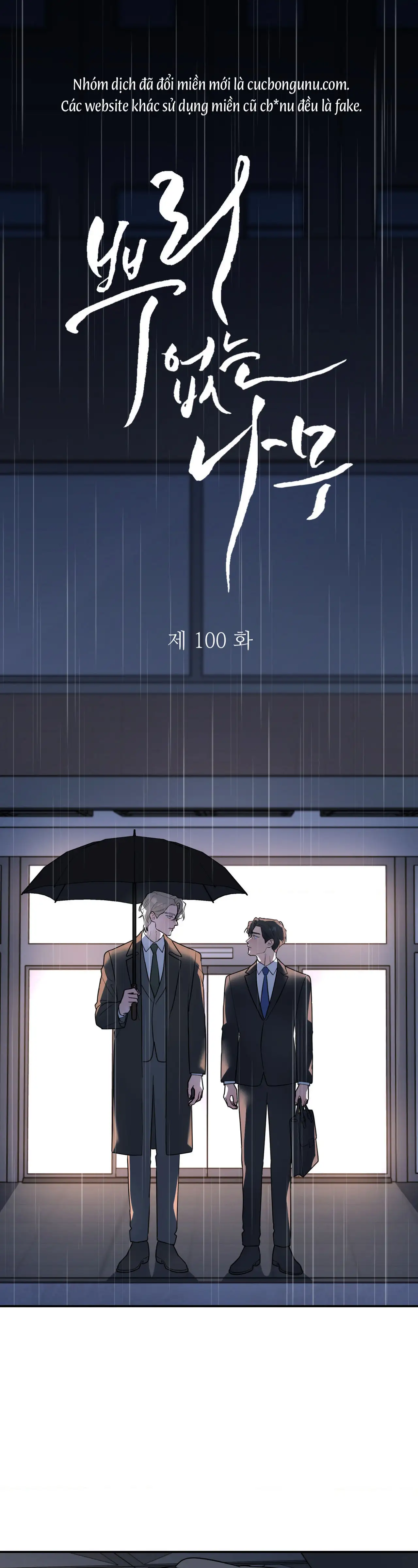 Cây Không Có Rễ Chap 100 - Next Chap 101