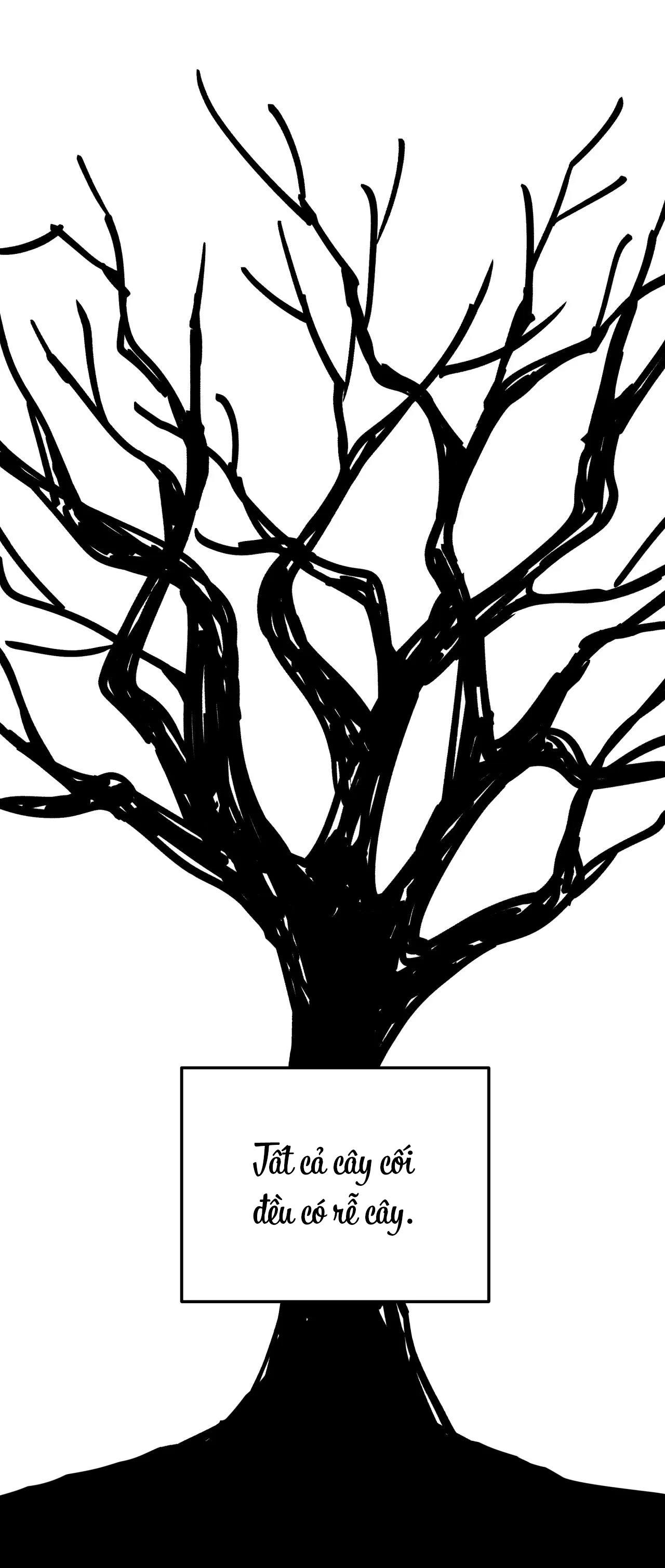 Cây Không Có Rễ - Chap 1