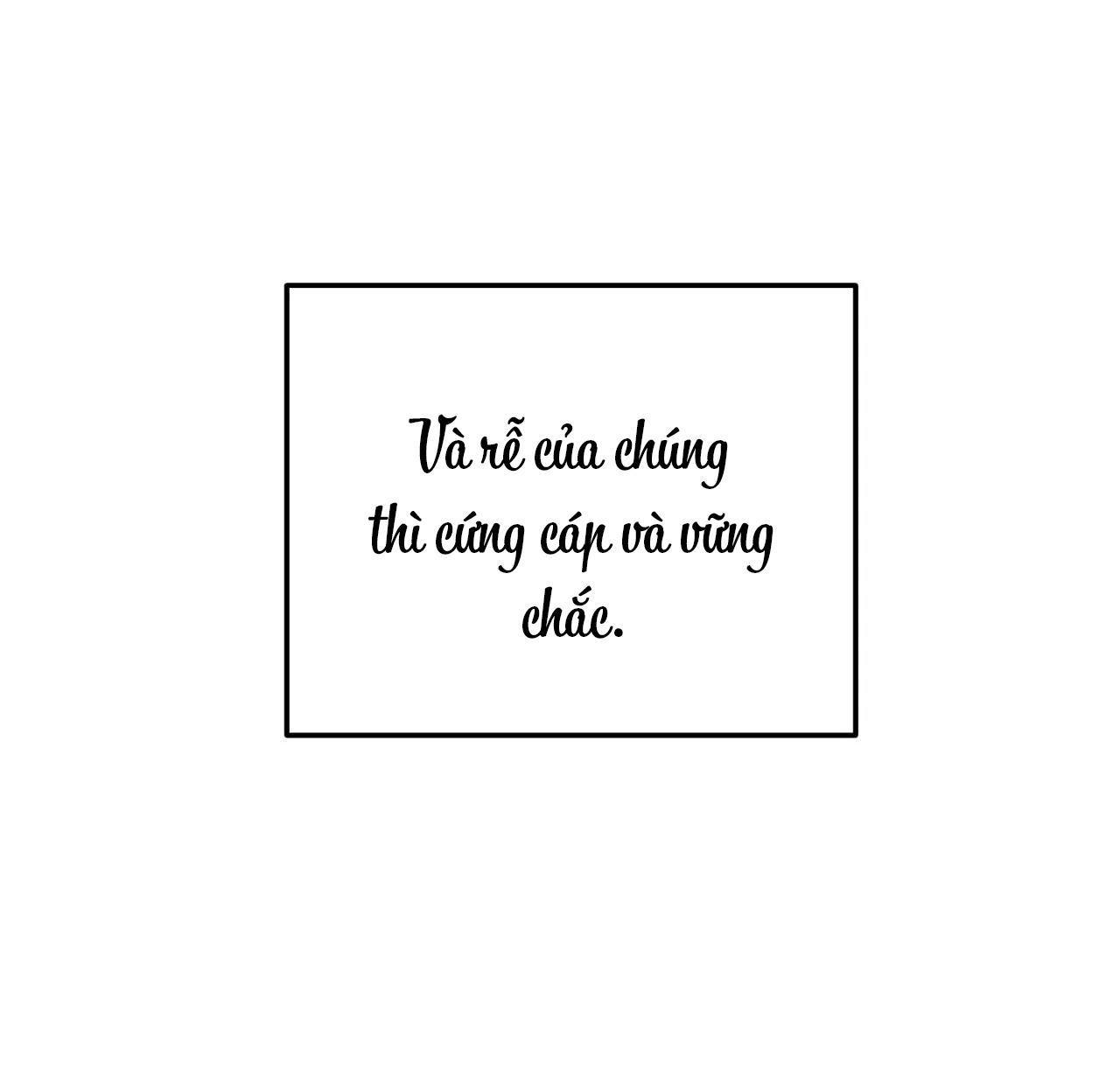 Cây Không Có Rễ - Chap 1