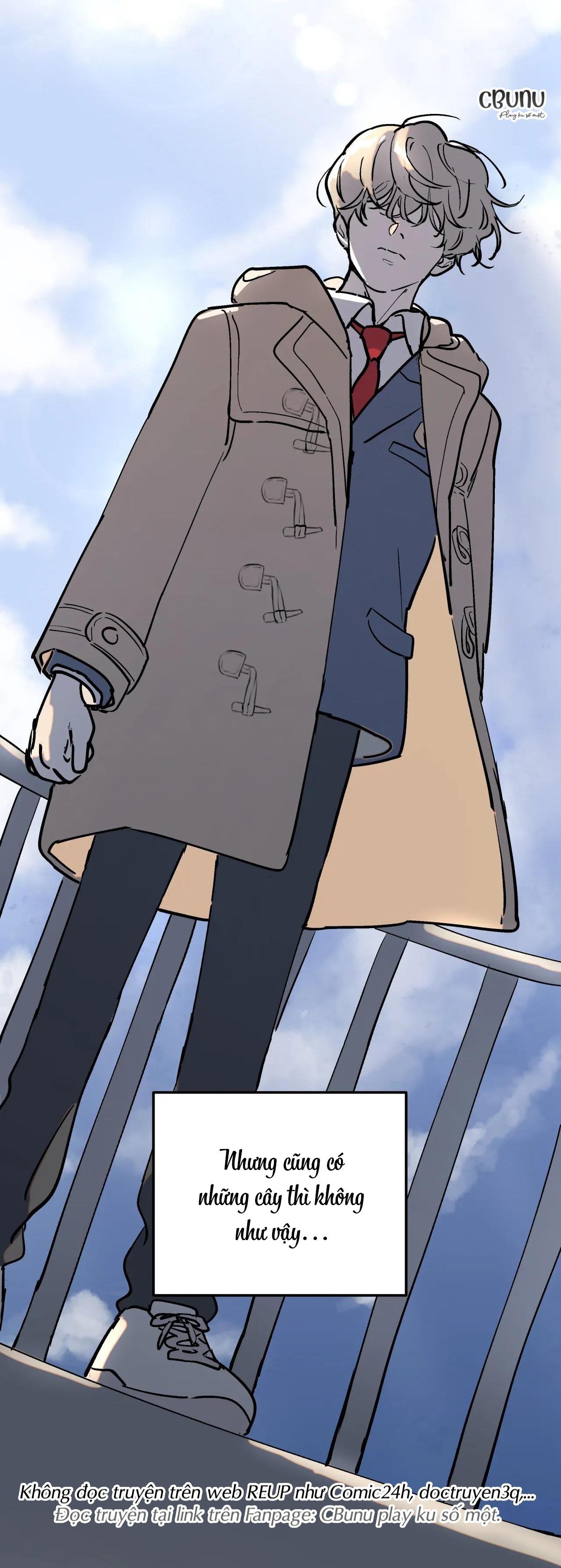 Cây Không Có Rễ - Chap 1
