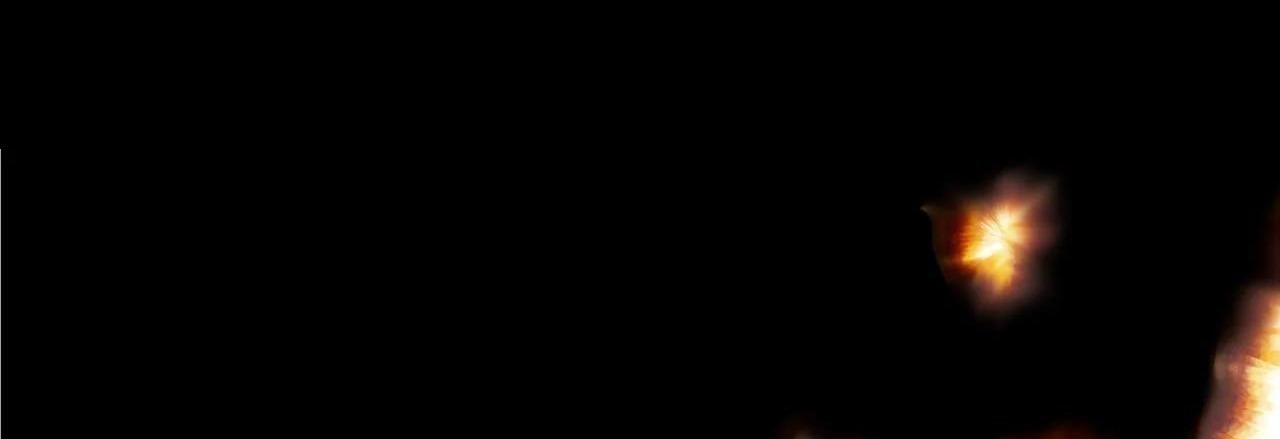 Cây Không Có Rễ - Chap 11