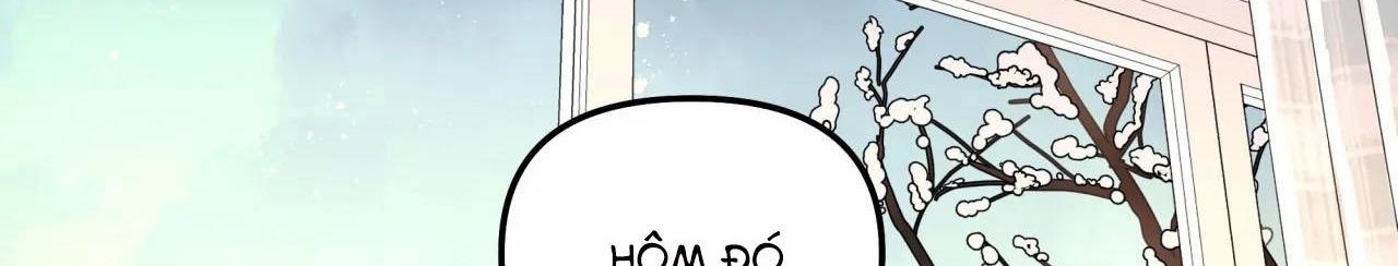 Cây Không Có Rễ - Chap 11