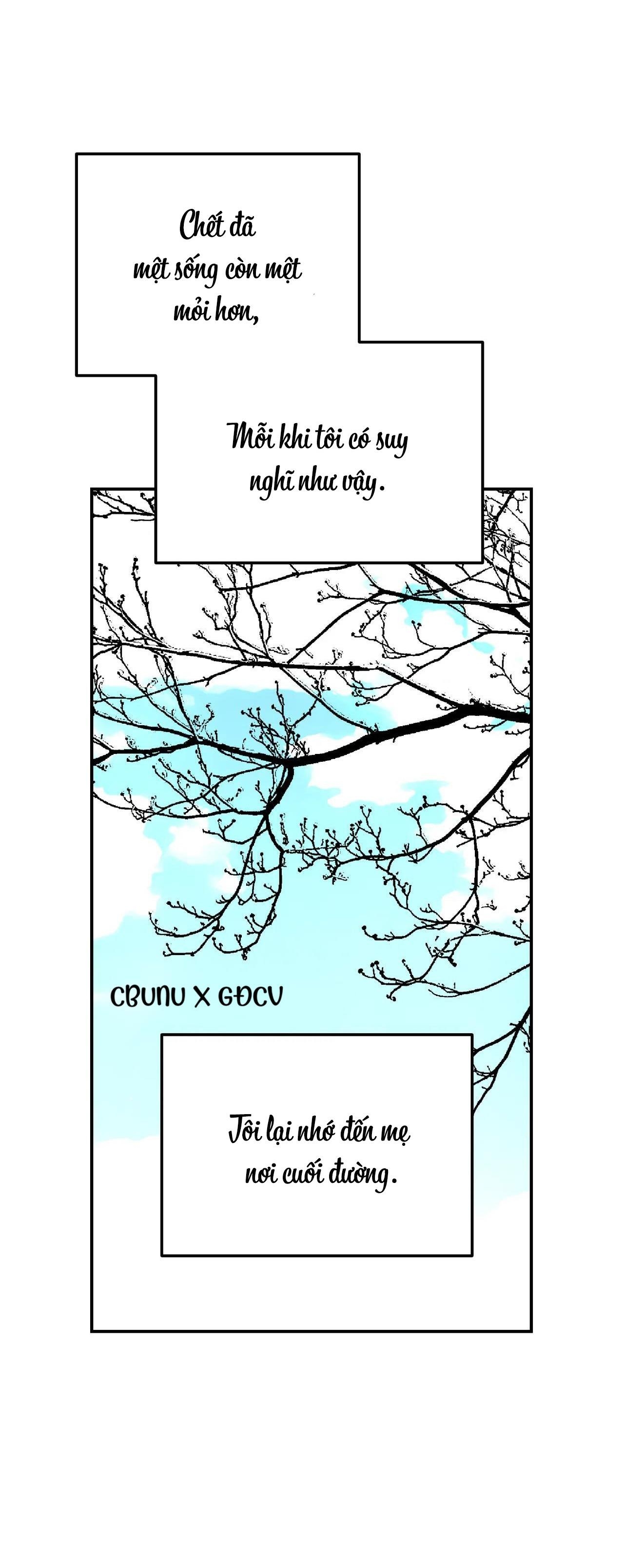 Cây Không Có Rễ - Chap 25