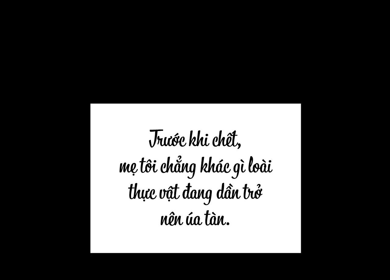 Cây Không Có Rễ - Chap 25