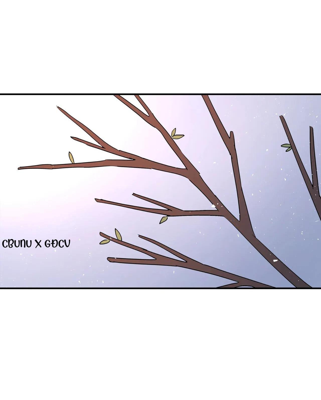 Cây Không Có Rễ - Chap 26