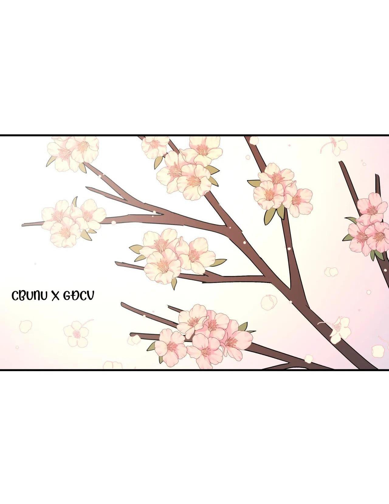 Cây Không Có Rễ - Chap 26