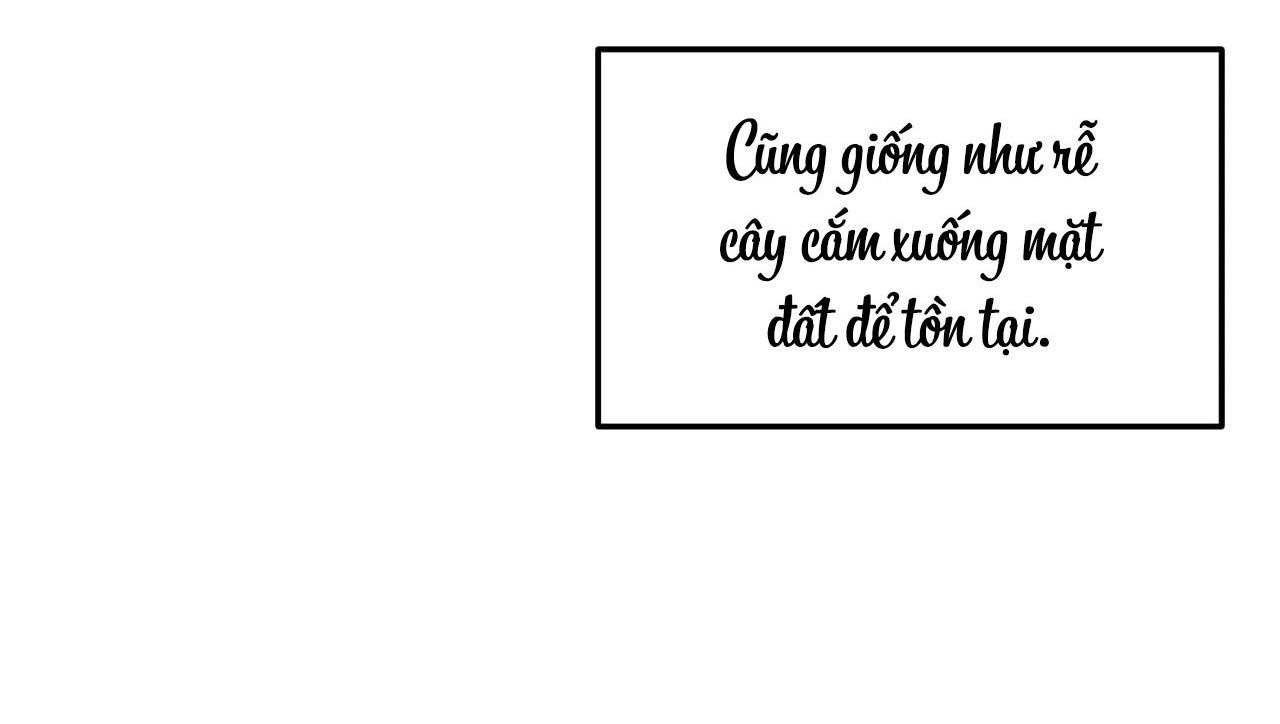 Cây Không Có Rễ - Chap 26