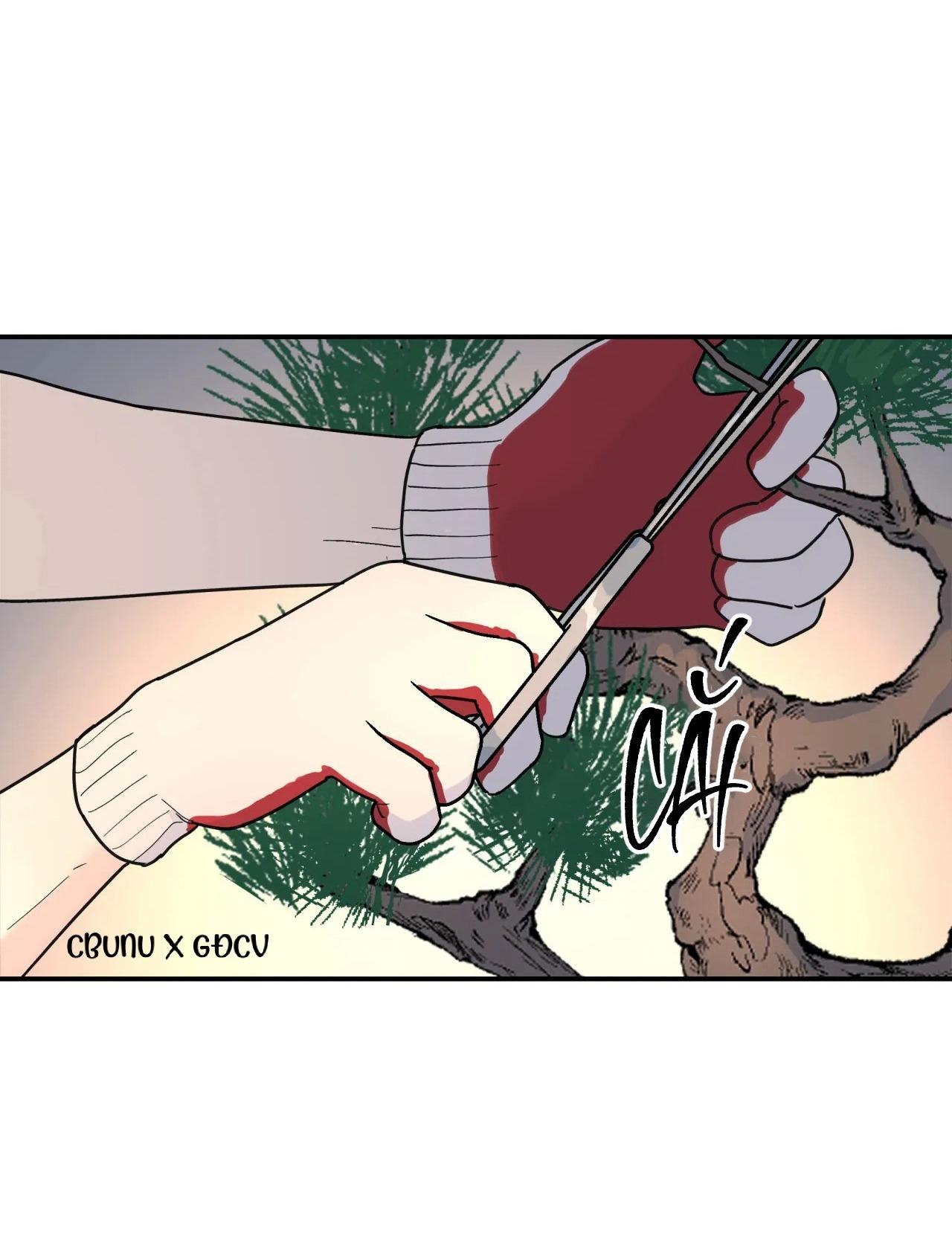 Cây Không Có Rễ - Chap 27