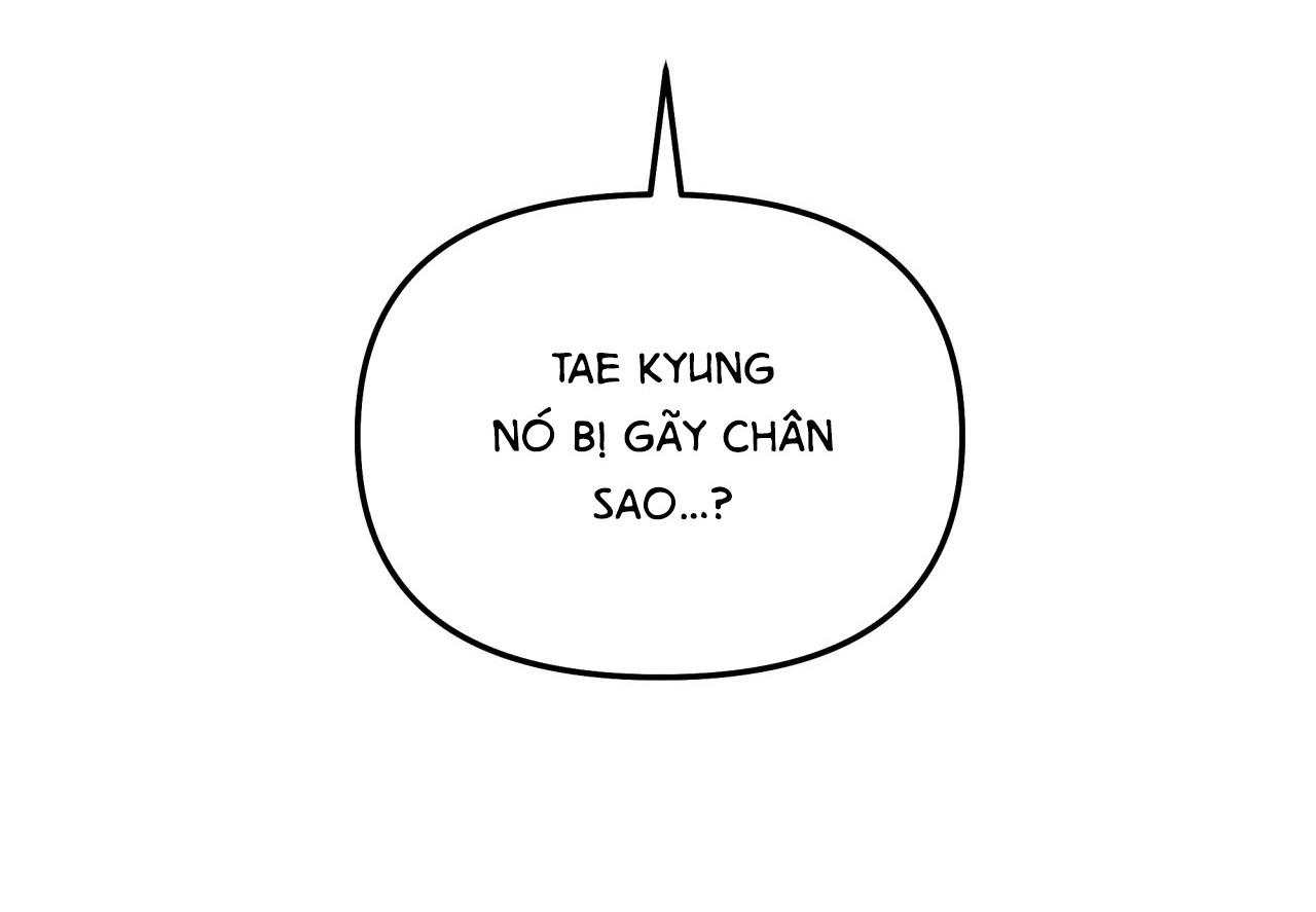 Cây Không Có Rễ - Chap 27