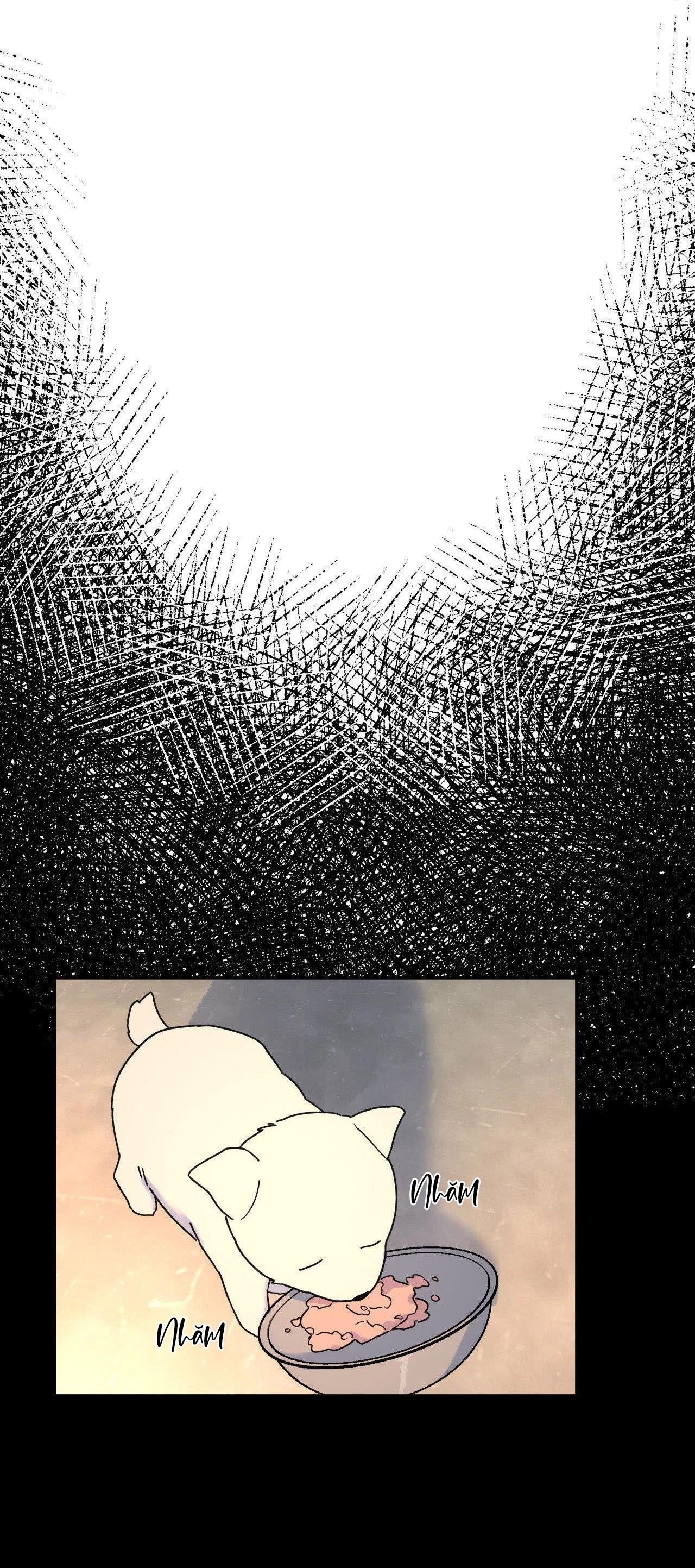 Cây Không Có Rễ - Chap 38