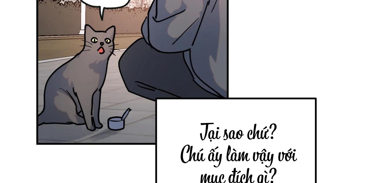 Cây Không Có Rễ - Chap 4