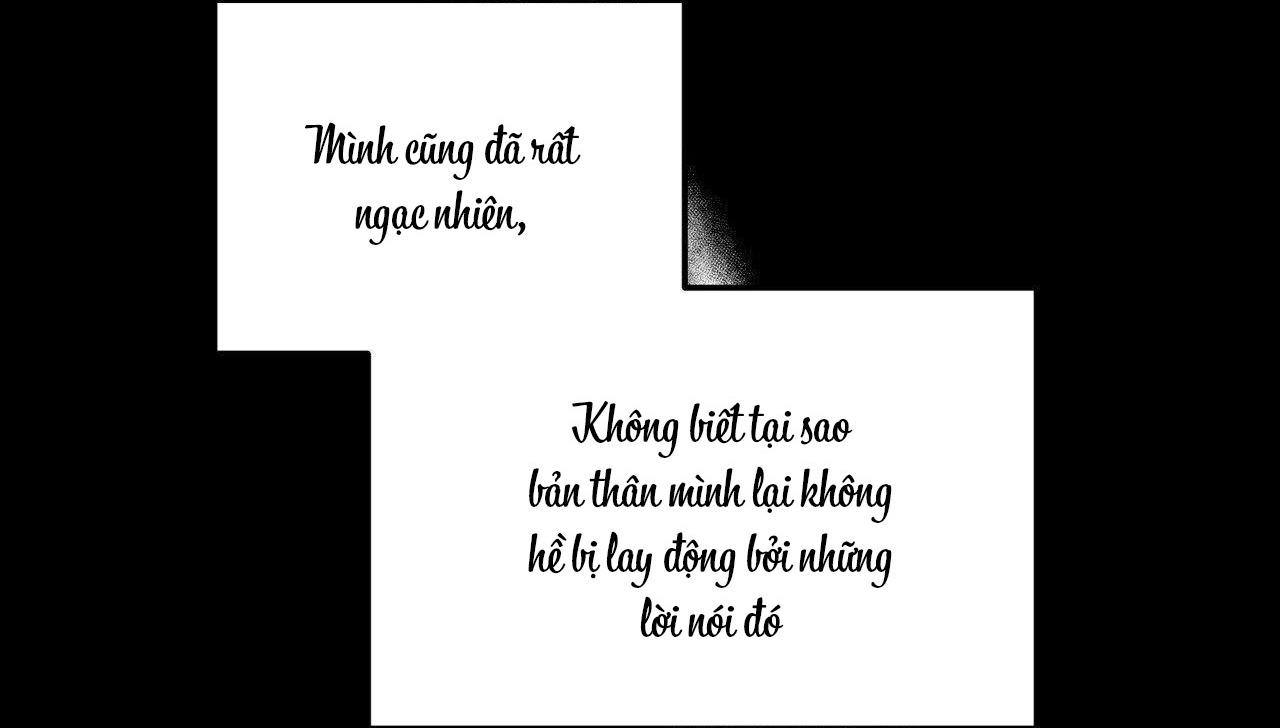 Cây Không Có Rễ - Chap 40