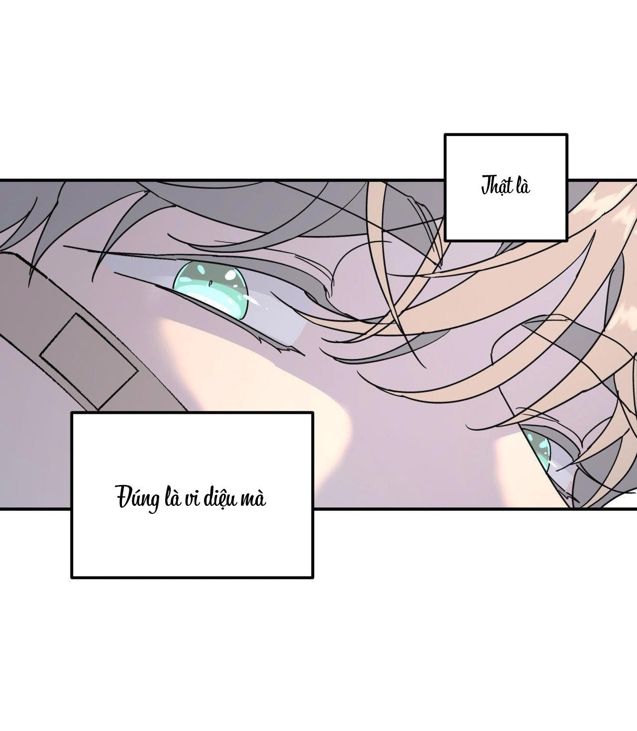 Cây Không Có Rễ - Chap 40