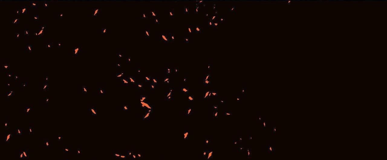 Cây Không Có Rễ - Chap 47