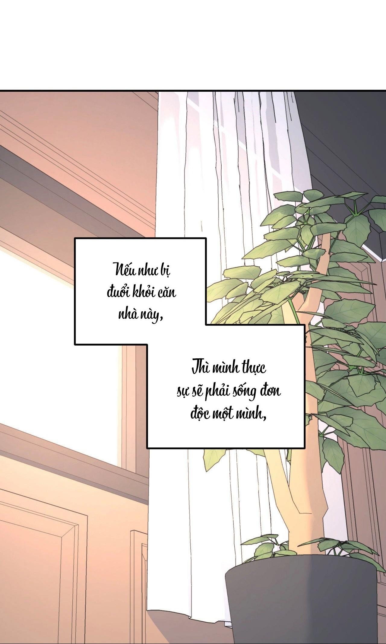 Cây Không Có Rễ - Chap 49